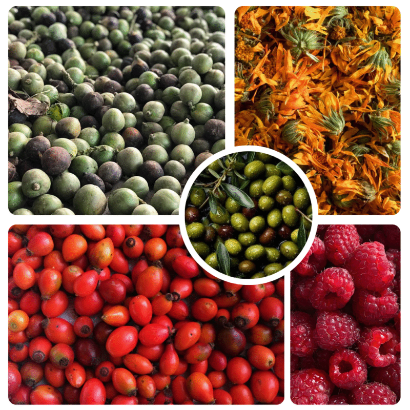 🌼 Flor de Ámbar 🌼 pieles normales, secas, con manchas o maduras.