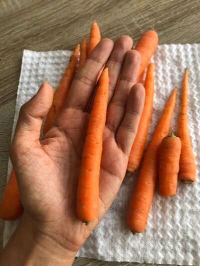 Clase Maestra edición 1: El Arte de Infusionar Aceites | 2 fechas: 01/11/25 y 09/11/25