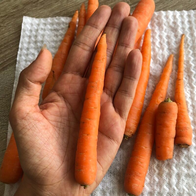 Clase Maestra edición 1: El Arte de Infusionar Aceites | 2 fechas: 01/11/25 y 09/11/25