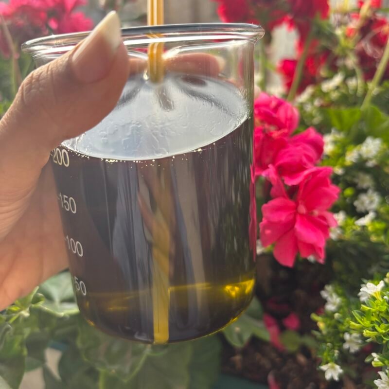 Clase Maestra edición 1: El Arte de Infusionar Aceites | 2 fechas: 01/11/25 y 09/11/25